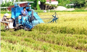 Hưng Yên mở rộng kênh dẫn vốn cho tín dụng nông nghiệp, nông thôn