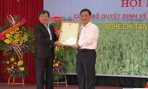 Nghệ Chí Tân ở Khoái Châu được công nhận nhãn hiệu tập thể