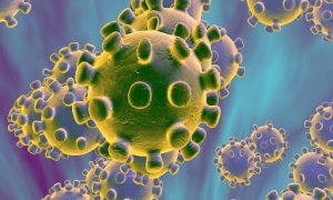 Các nhà khoa học tìm ra điểm yếu dễ tiêu diệt của virus corona