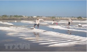 90% người dân Việt Nam ăn muối nhiều hơn mức khuyến cáo