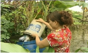 Trên 3 nghìn gia đình tại Kim Động áp dụng mô hình xử lý rác thải hữu cơ bằng chế phẩm vi sinh
