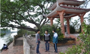 Những cây đa lịch sử ở Hưng Yên