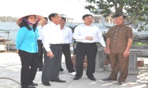 Phó Chủ tịch UBND tỉnh Đặng Minh Ngọc kiểm tra sản xuất nông nghiệp