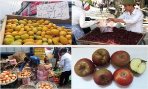 Bốn loại quả Tàu nhầm tưởng hàng Việt:Ăn quanh năm