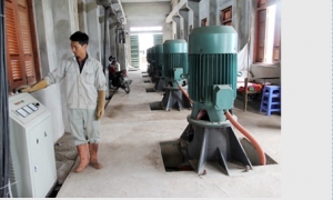 Hưng Yên: Bảo đảm nước tưới cho cây trồng