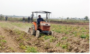 Hưng Yên: Tái cơ cấu nông nghiệp từ tích tụ ruộng đất