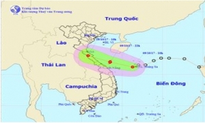 Thông báo khẩn về việc ứng phó áp thấp nhiệt đới gần bờ
