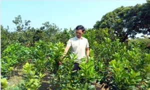 Hưng Yên: Trao "cần câu" giúp nông dân thoát nghèo